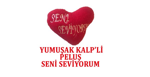 Resim